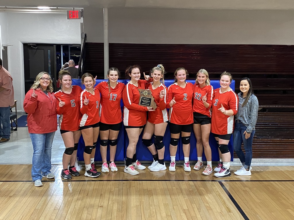 Team District Volleyball Champs